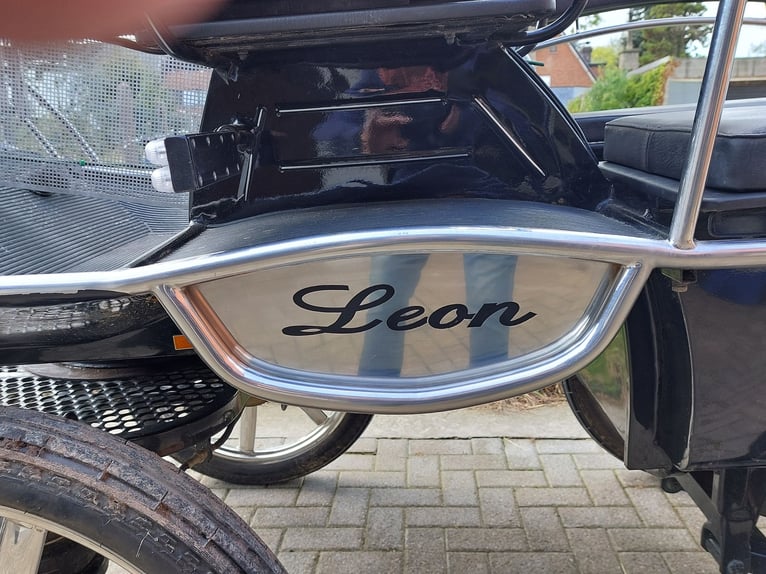 KOETS HANSMEIER LEON 