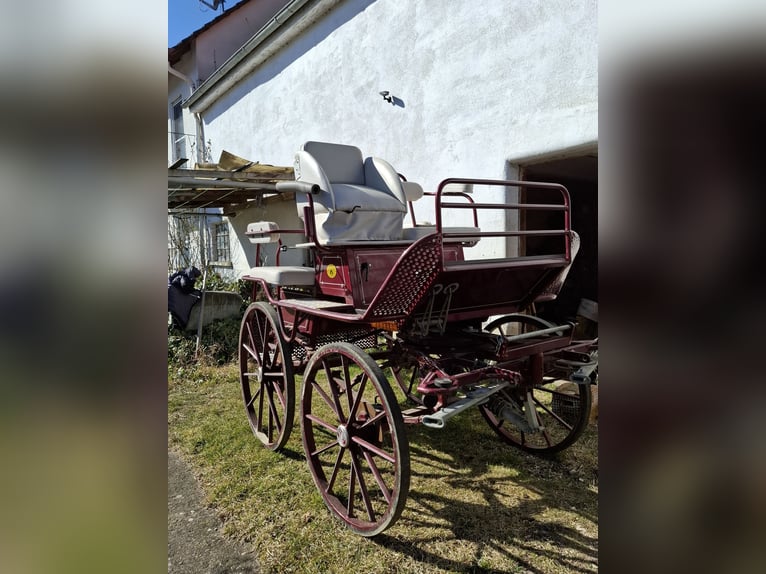 Marathonkutsche Kibele Großpferde