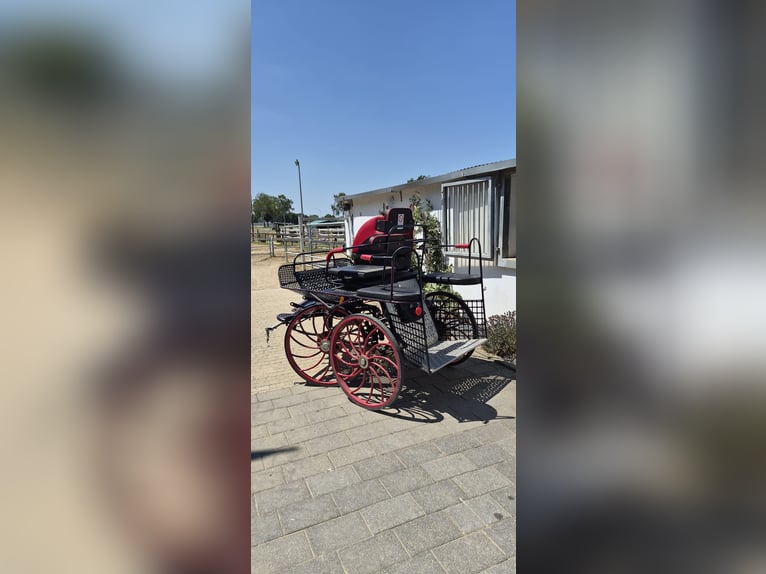 Marathonwagen