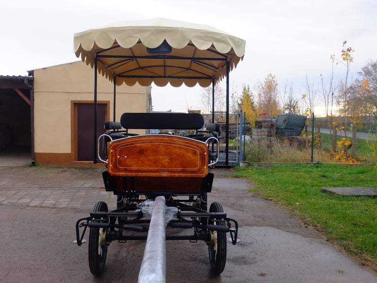Neue Wagonette m. E-Anlage/Dach