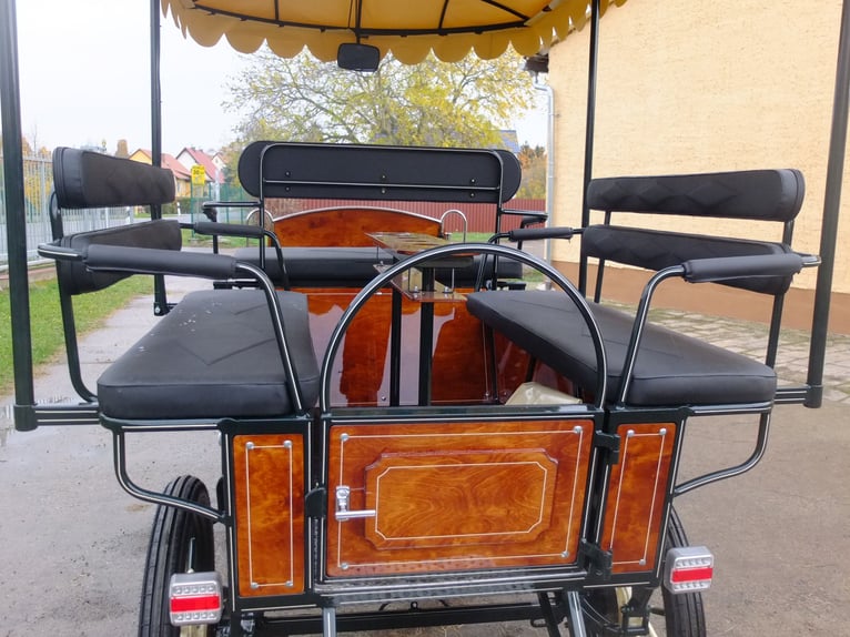 Neue Wagonette m. E-Anlage/Dach