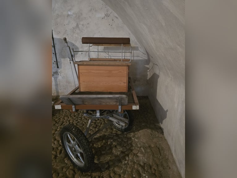Ponykutsche / kleine vierrädrige Kutsche aus Holz