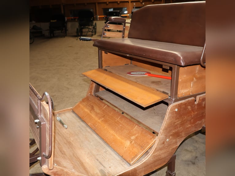 Sawa Freizeitwagen Kutsche Schmid Herdwangen