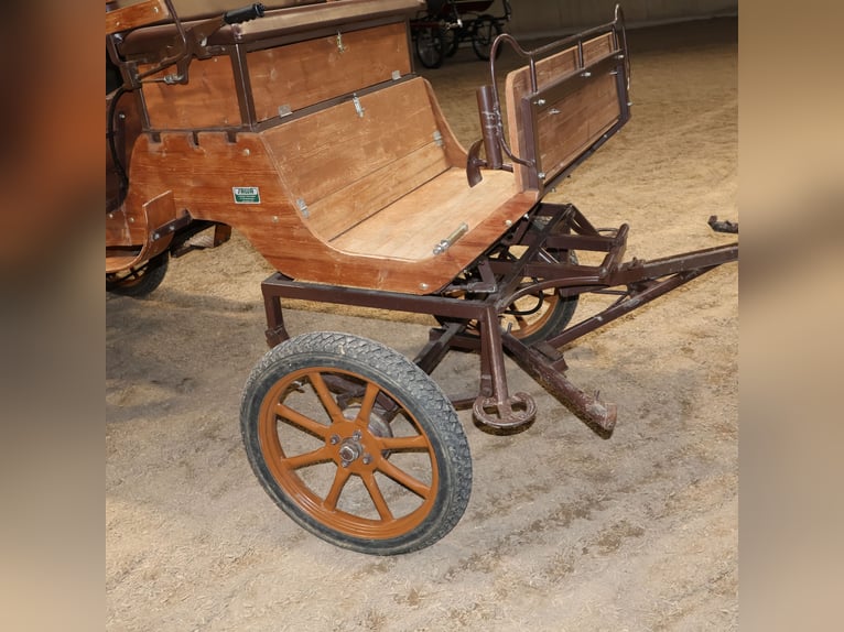 Sawa Freizeitwagen Kutsche Schmid Herdwangen