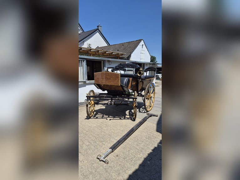 Wagonette Großpferde