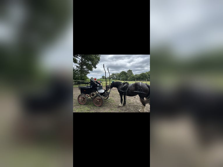 Wagonette