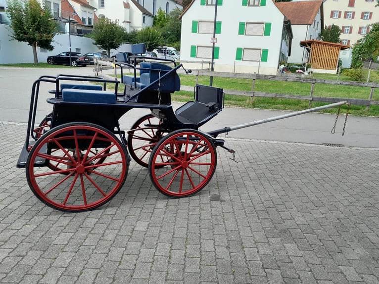 Schöner, stabiler Trainingswagen zu verkaufen