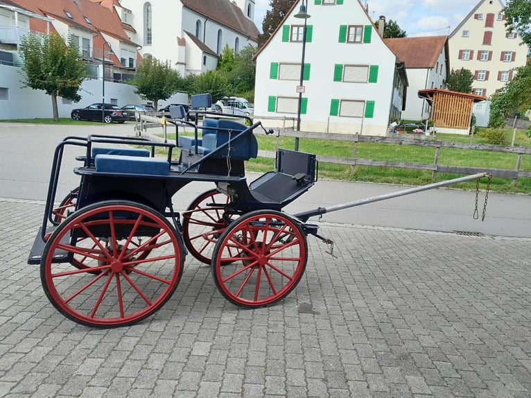 Schöner, stabiler Trainingswagen zu verkaufen