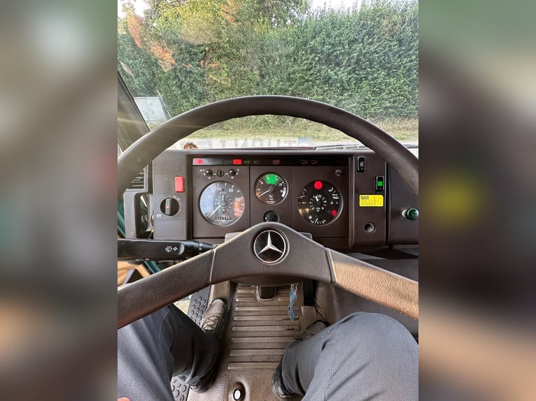 Mercedes 814 Pferde LKW, Platz für 4 Pferde und 7 Personen