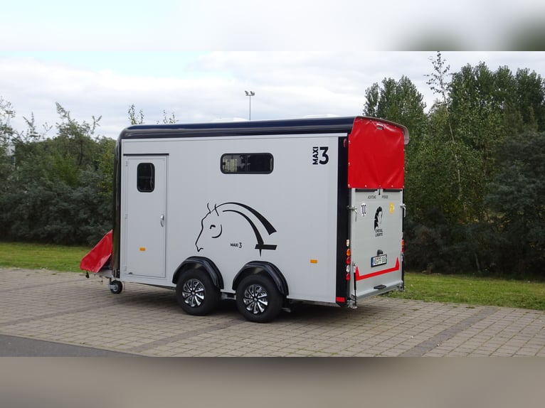 Cheval Liberte Pferdeanhänger  Maxi 3 / 3Pferde / Pullmann 2 Fahrwerk / schwarz