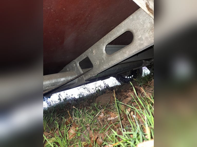 Humbaur Rapid Pferdeanhönger mit Sattelkammer , TÜV neu