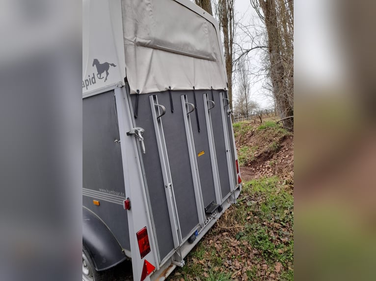 Humbaur Rapid Pferdeanhönger mit Sattelkammer , TÜV neu