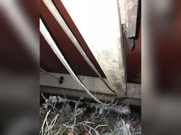 Humbaur Rapid Pferdeanhönger mit Sattelkammer , TÜV neu