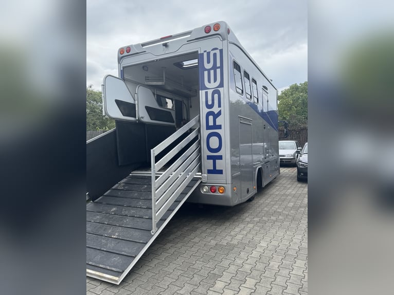 Iveco 80 E RJH Ecoline Pferdetransporter mit Führschein Klasse 3 bzw. C1 zu fahren