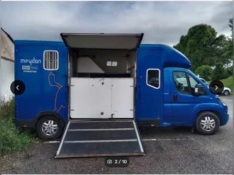 Equitrek – Soni Peugeot Boxer Pferdeanhänger