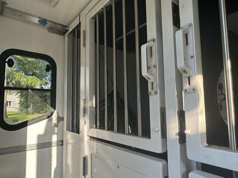 Internationaler Pferdetransport