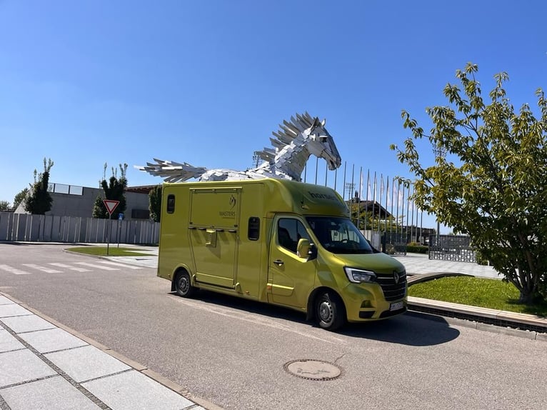 Internationaler Pferdetransport