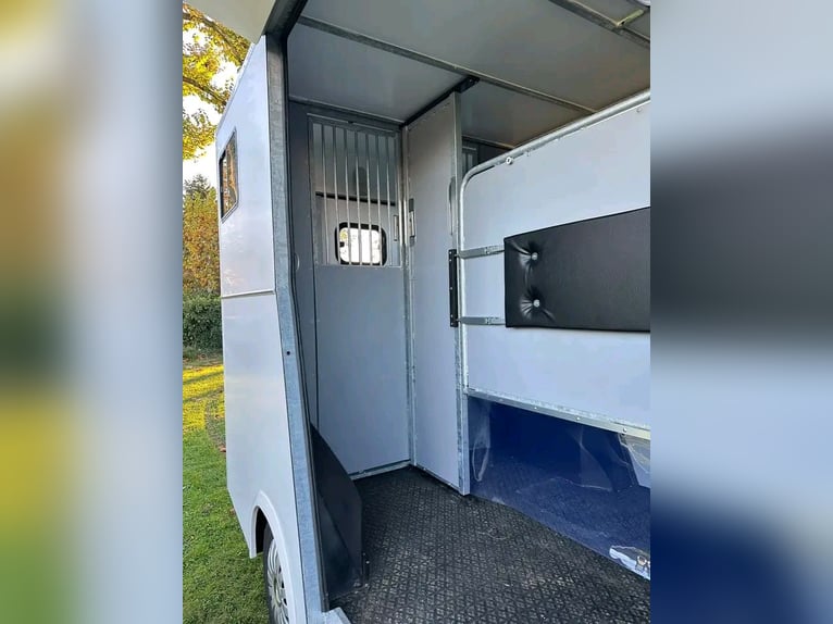 Kleintransporter für den Pferdetransport, geeignet für 2 Pferde, mit Stallkonfiguration Master