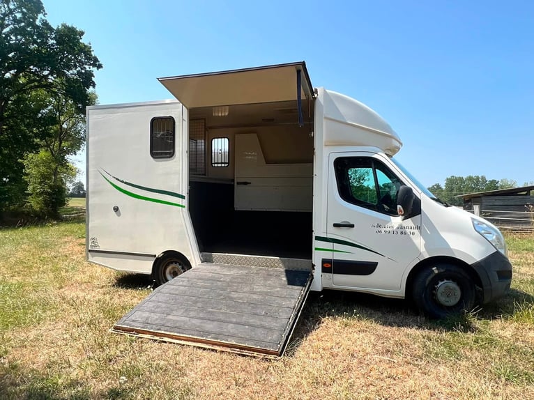 LKW für 2 Pferde