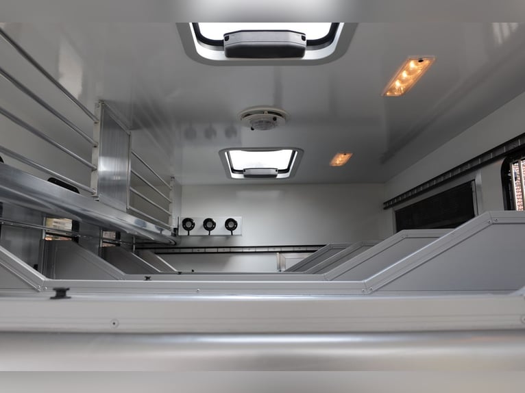MAN 15.280 Gimmel 5 Pferdetransporter Wohnung WC Dusche LKW