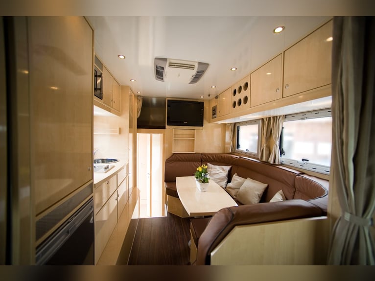 MAN 15.280 Gimmel 5 Pferdetransporter Wohnung WC Dusche LKW