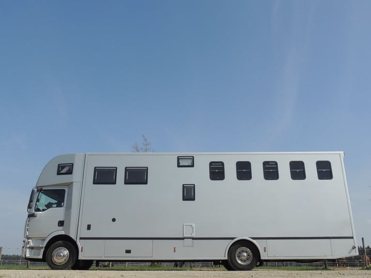 MAN 15.280 Gimmel 5 Pferdetransporter Wohnung WC Dusche LKW