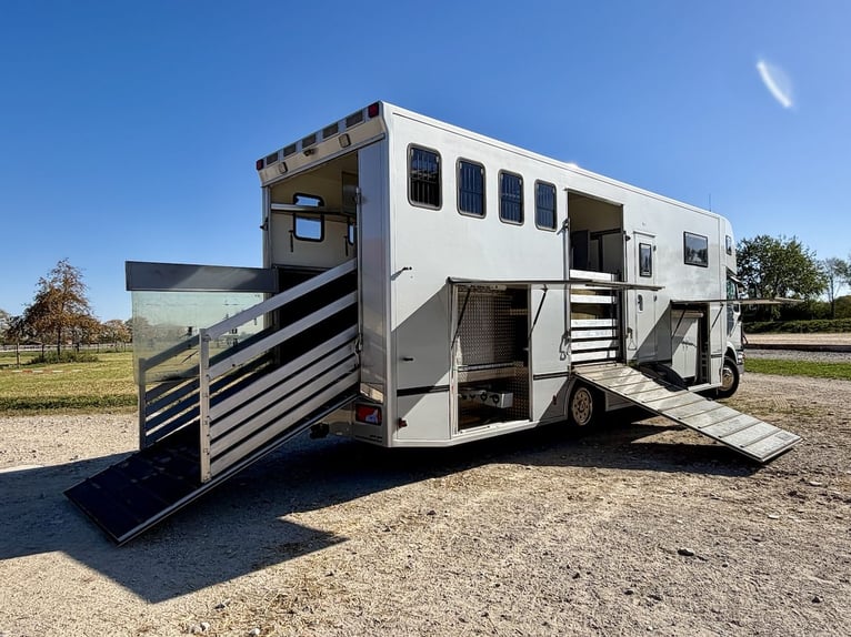 MAN 15.280 Gimmel Pferdetransporter Wohnung WC Dusche 5 Pferde Turnierkiste seitlich LKW