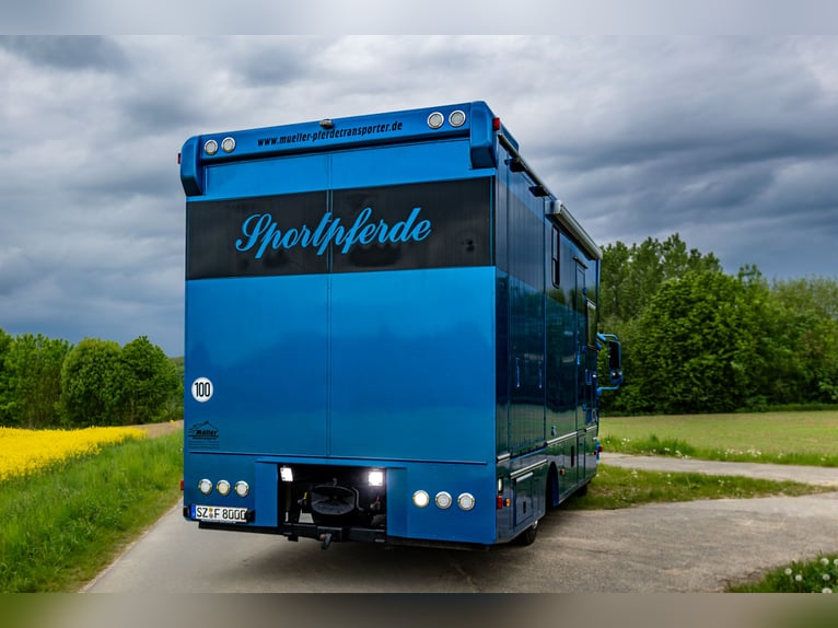 MAN TGL 8.180 Pferdetransporter