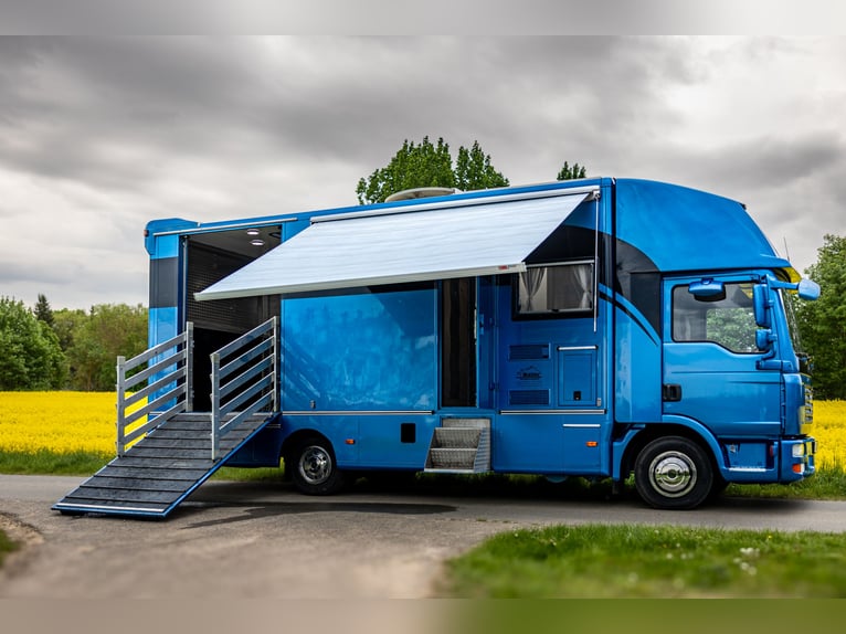 MAN TGL 8.180 Pferdetransporter