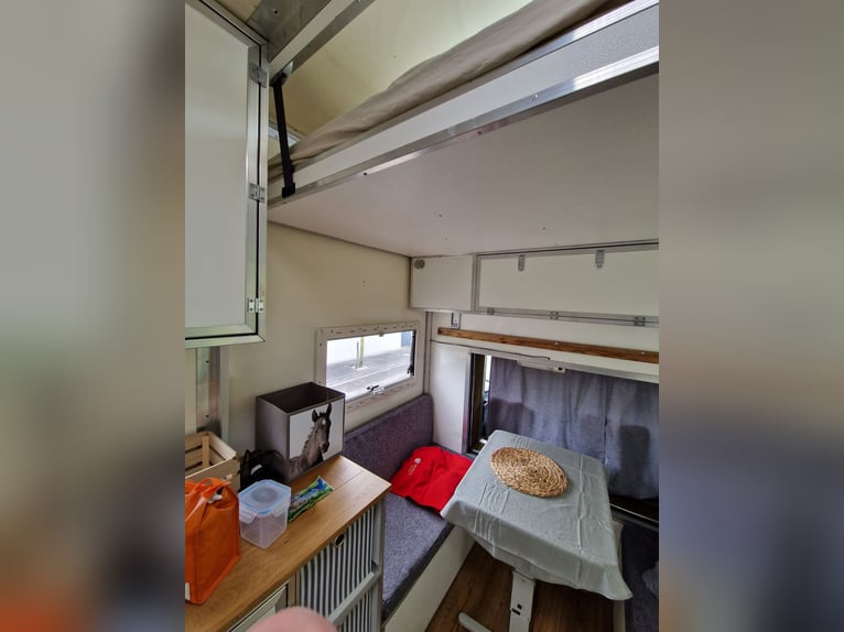 Mercedes-Benz 814 Dickenherr Umbau 2019 3 Stellplätze Solar
