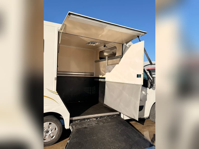 Pferdeanhänger für Renault Master, Baujahr 2012, 125 PS