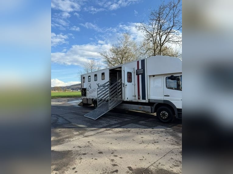 Pferdetransporte für 7 Pferde