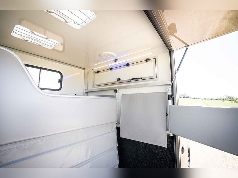 Pferdetransporter 2 Ride Automatik Renault Master Viehtransporter Horsevan Horsetruck Selbstfahrer