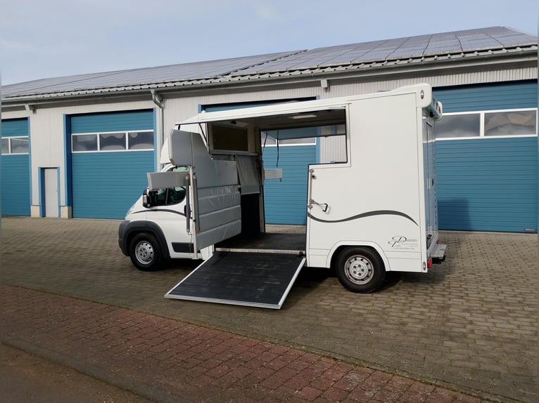 Pferdetransporter 2 Seitenrampen Nur 20.500KM Viehtransporter Paardencamionette Horsevan Trailer