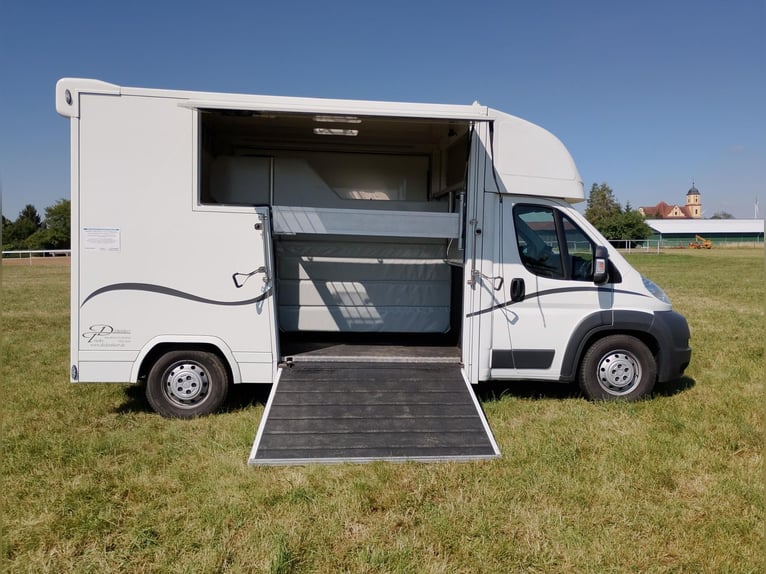 Pferdetransporter 2 Seitenrampen Nur 20.500KM Viehtransporter Tiertransporter Horsetruck Chevaux