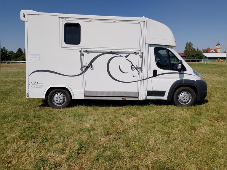 Pferdetransporter 2 Seitenrampen Nur 20.500KM Viehtransporter Tiertransporter Horsetruck Chevaux