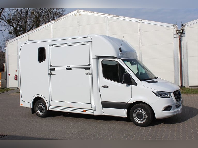 Pferdetransporter Dickenherr2-Ride Mercedes Automatik Neufahrzeug Viehtransporter Chevaux