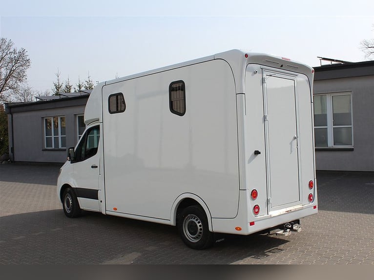 Pferdetransporter Dickenherr2-Ride Mercedes Automatik Neufahrzeug Viehtransporter Chevaux