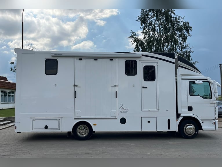 Pferdetransporter für 4 Pferde MAN TGL 8.180