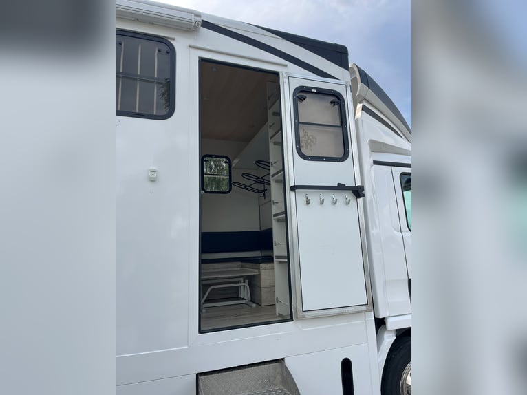 Pferdetransporter für 4 Pferde MAN TGL 8.180