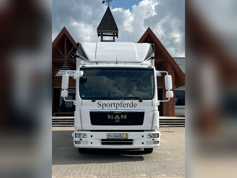 Pferdetransporter für 4 Pferde MAN TGL 8.180
