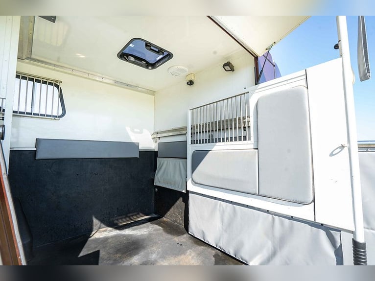 Pferdetransporter Hengstausstattung 5 Sitzer mit nur 43.300KM Klima Navi Viehtransporter Horsetruck