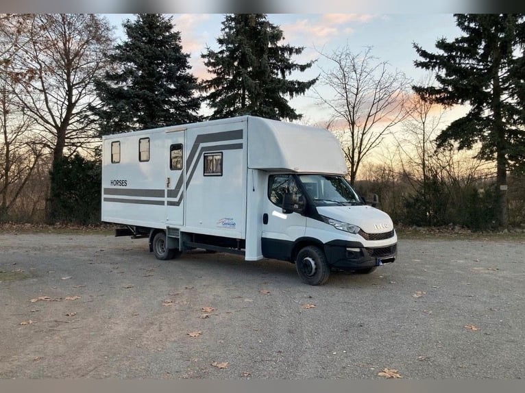 Pferdetransporter Iveco Daily für 3 Pferde mit Wohnkabine