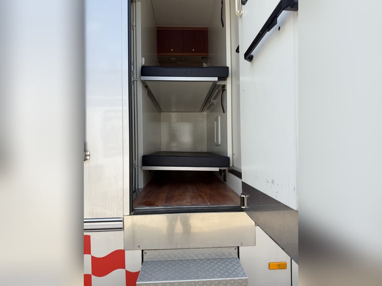 Pferdetransporter