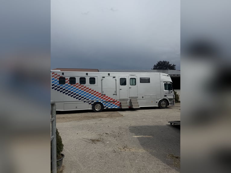 Pferdetransporter