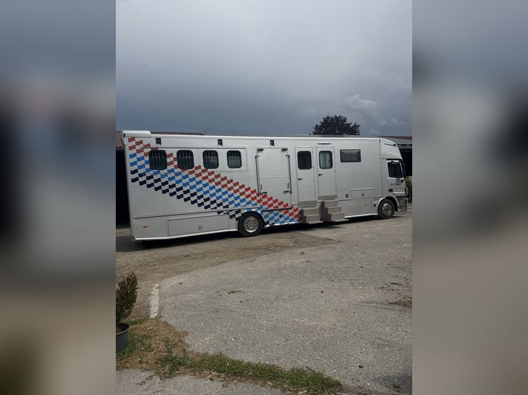 Pferdetransporter