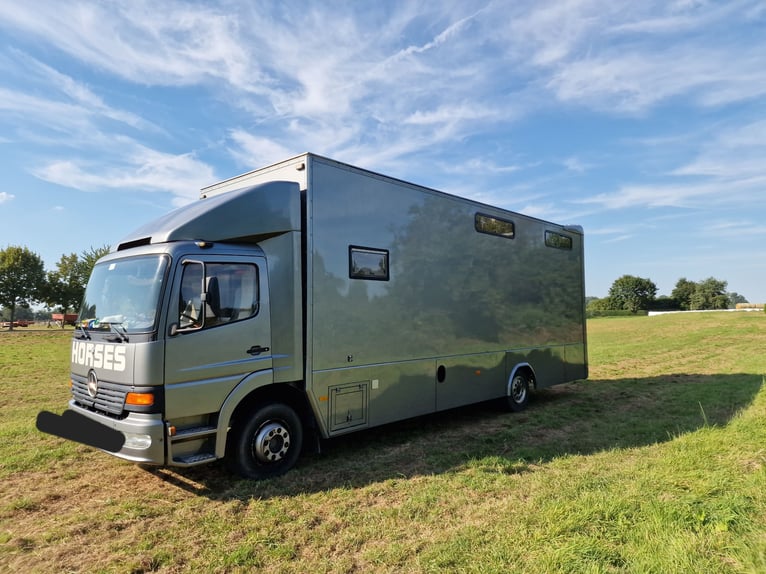 Pferdetransporter/Pferde LKW