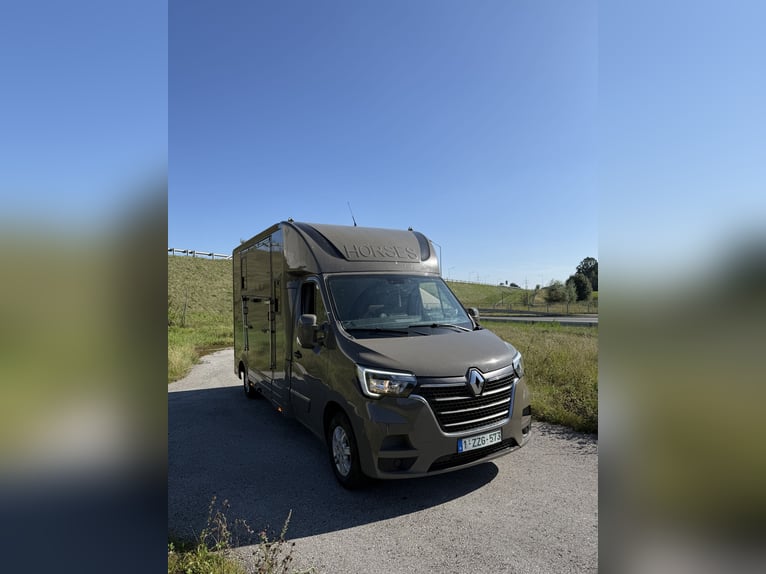 Pferdetransporter Renault Master, neu aufgebaut, für 5 Sitzplätze, geeignet für Hengste