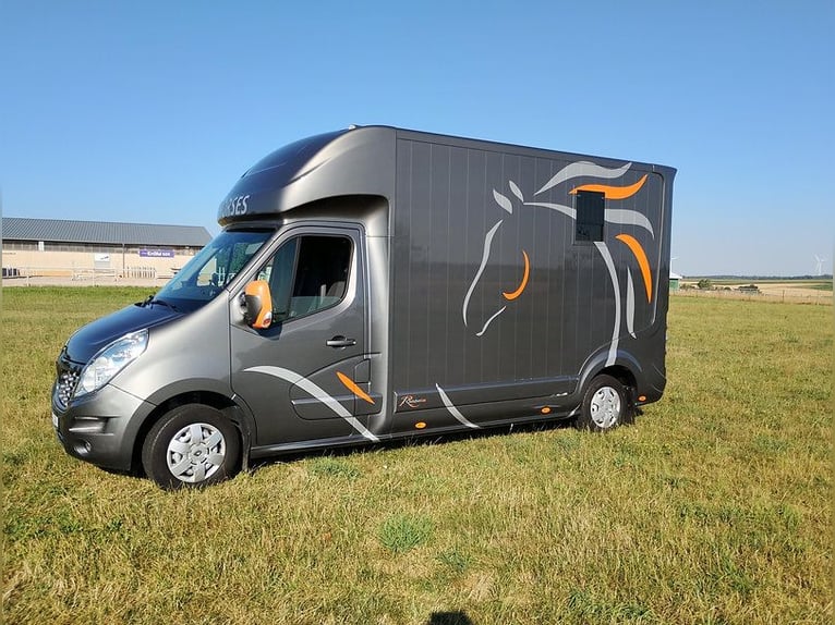 Pferdetransporter Roelofsen Automatik Nur 30.800KM Viehtransporter Selbstfahrer Horsevan