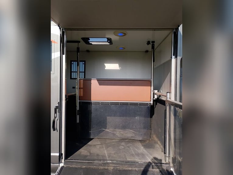 Pferdetransporter Roelofsen Automatik Nur 30.800KM Viehtransporter Selbstfahrer Horsevan